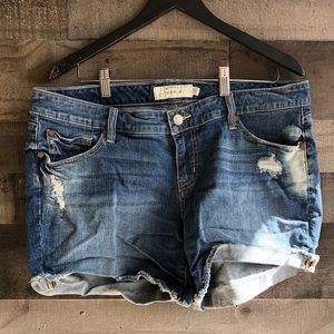 Torrid Distressed Shorts